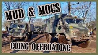 Mud and Mogs: 3 Unimog 404s go Offroading!