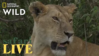 Safari Live - Day 221 | Nat Geo Wild