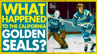 WHAT HAPPENED TO THE CALIFORNIA GOLDEN SEALS? // DEFUNCT: A CALIFORNIA GOLDEN SEALS DOCUMENTARY