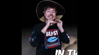 This is MrBeast