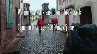 Camino Frances May/June 2019