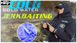 4 Tips to Boost Cold Water Jerkbait Fishing Success