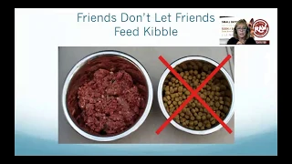 Raw Dog Food and Company - How to Start Feeding a Raw Diet for Dogs and Cats