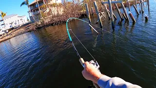 Florida Dock Fishing for Dinner + Flats Fish Pile!