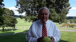 Nature Lesson - The Osage Orange