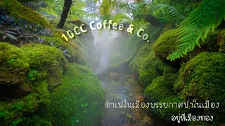 10CC Coffee & Co. #คาเฟ่ในสวนแบบดีงาม