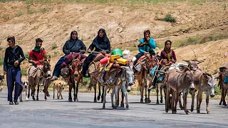 nomadic lifestyle-nomadic peoplelife in IRAN-routine nomads life