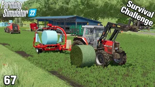 GETTING ALL THE GRASS CUT FOR SILAGE - Survival Challenge FS22 Calm Lands Ep 67