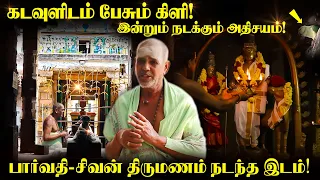 மனித உருவத்தில் வந்த சிவன்.. இன்றும் நடக்கும் அதிசயம்! Sri Veezhinathar Temple | Thiruveezhimizhalai