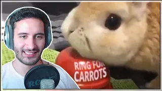 NymN reacts to "UNUSUAL MEMES COMPILATION V106"