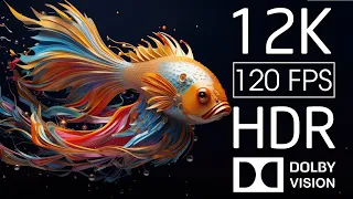 12K HDR 120fps Dolby Vision with Soothing Piano Melody - Beautiful Coral Reef Fish - 12K HDR Animals