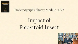 Impact of parasitoid insect
