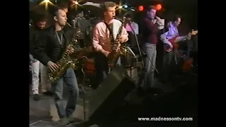 Madness - The Sweetest Girl (Live on UK TV) 01/02/86
