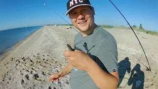 Пеленгас, Бердянськ, "Верховая коса".Рыбалка на море, июнь. Fishing.Mullet.