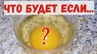 Тридцать дней, сырое ЯЙЦО натощак. ЧТО случилось с ОРГАНИЗМОМ ?