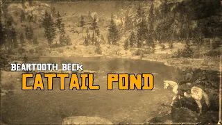 Beartooth Beck; Cattail Pond [CIIE138 RDRII]