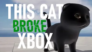 How A Cat Broke The Xbox Marketplace