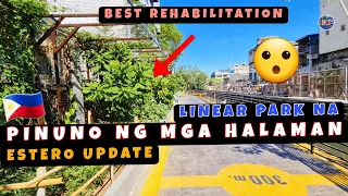 Best Transformation Ever! Ang Dating Maduming Estero Linear Park na Ngayon!