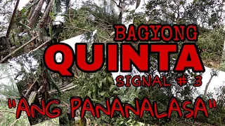 HAGUPIT NI BAGYONG QUINTA SA BATANGAS - SIGNAL #3 | Rex Montalbo YouTube Channel