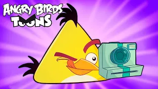 Angry Birds Toons Season 2 | Ep. 21 to 26