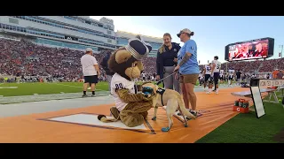 Virginia Tech vs ODU Enter Sandman 9.2.2023, Hudson the Dog