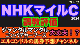 エルコンドル氏のNHKマイルカップ2024調教評価！！ジャンタルマンタルにゴンバデカーブースに異変？！どうした！逆に状態が上がってきた馬は！