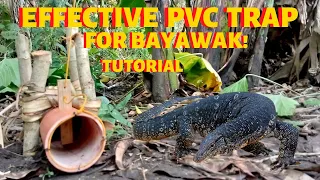 HOW TO MAKE EFFECTIVE PVC TRAP? TUTORIAL BAYAWAK HUNTING PART 8  // JUAN LAGALAG