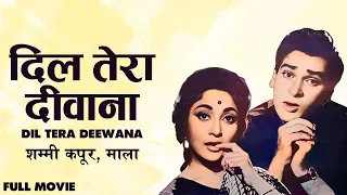Dil Tera Deewana 1962 Full Movie | Shammi Kapoor,Mala Sinha,Mehmood | Old HIndi Full Romantic Movie