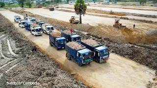 Ultimate! Work Fast | Team 5 ton Dump Truck Unloading And Bulldozer Kumat’su Pushing Dirt Actively