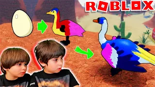 De huevo a CISNE, una familia de PAJAROS en ROBLOX Feather Family con Dani y Evan