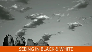 Seeing in Black and White with Eileen Rafferty