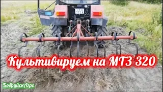 Культивируем на МТЗ 320