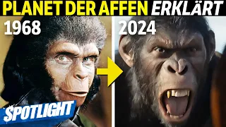 Was du über PLANET DER AFFEN wissen solltest!  New Kingdom und die PLANET OF THE APES Filme erklärt