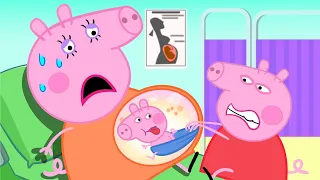 Mummy Pig is Pregnant! BUT , WHO is BABY ? - Sad Story of Peppa Pig | Peppa Pig Funny Animation