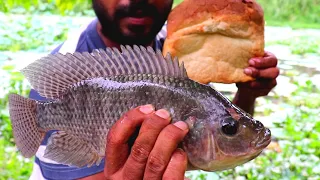 Fishing with Bread | Hook Fishing | Sri Lanka Fishing | Big Tilapia Fish Catching | මාලු අල්ලමු