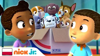 Psi Patrol | Pieski ratują bliźniaki! | Nick Jr.