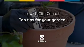 Top tips for your garden