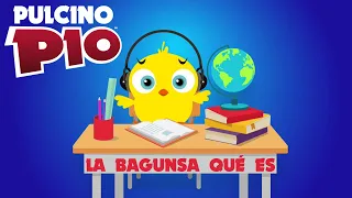 PULCINO PIO - La bagunsa qué es (Official video)