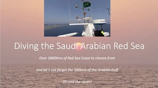 A guide to diving in the Saudi Arabian Red Sea