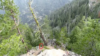 Deep Dive into Sasquatch Activity in Montana - Bigfoot, Tracks, Reports & Evidence on Camera