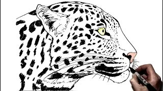 How to Draw a Leopard | Side View | Step By Step