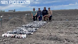 Pigeon Hunting BEATDOWN in Minnesota (Cops Called)