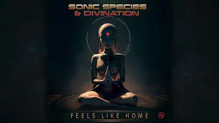 Sonic Species & Divination - Feels Like Home