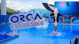 Orca Encounter (Full Show HD) A Killer Whale Experience - SeaWorld Orlando