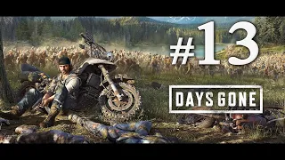 Days Gone. Прохождение без комментариев #13