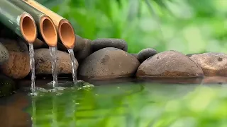 Relaxing Piano Music 🎹 Healing music for the Heart and Blood vessels, Water Sound, Zen, water sounds