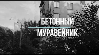 Остросоциальная драма, короткометражное кино, артхаус "Бетонный Муравейник"