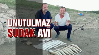 Canlı Yem ile Unutulmaz Sudak Avı