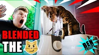 My Bro blended my CAT! **PRANK!**