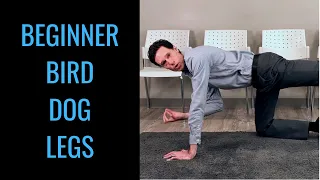 Beginner bird dog exercise beginner demonstration by chiropractor in Toronto Dr. Byron Mackay